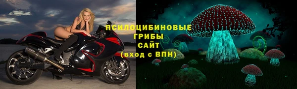 молекула духа Протвино