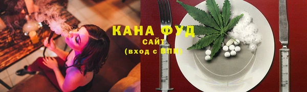 молекула духа Протвино