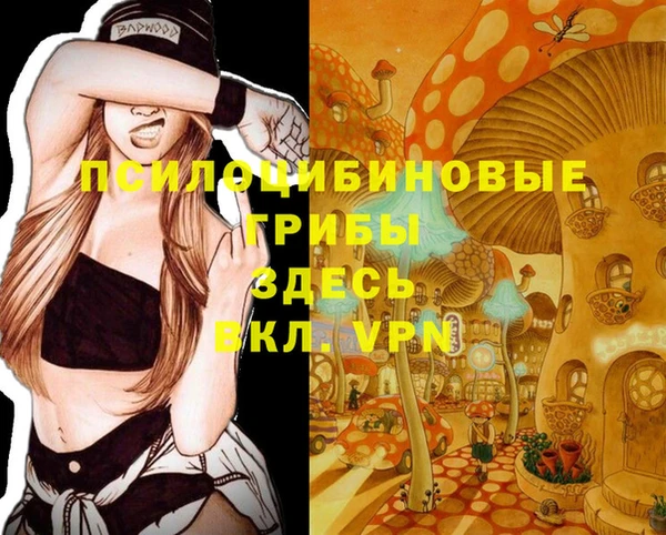 mdma Приозерск
