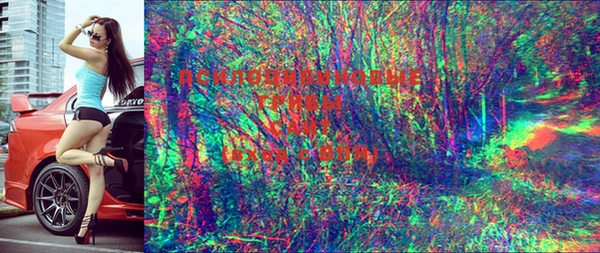 mdma Приозерск