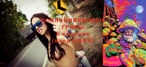 молекула духа Протвино