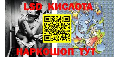 гидра Будённовск