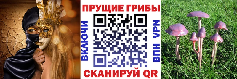 кракен ТОР  Бугуруслан  Псилоцибиновые грибы Psilocybine cubensis 