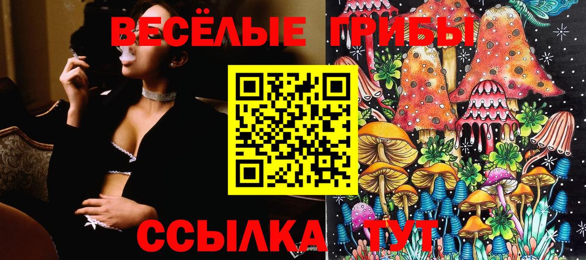 Псилоцибиновые грибы мухоморы  Вход с VPN  Бугуруслан 