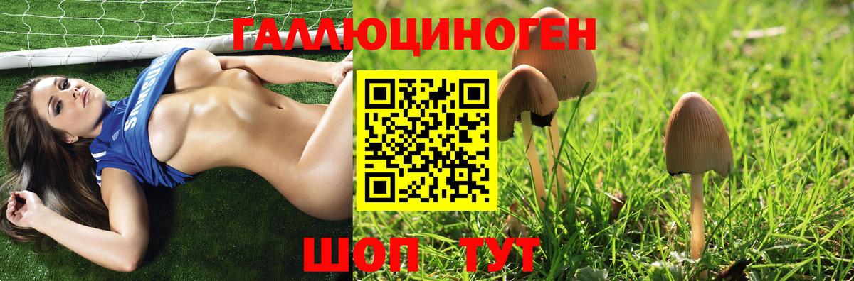 Псилоцибиновые грибы ЛСД Бугуруслан